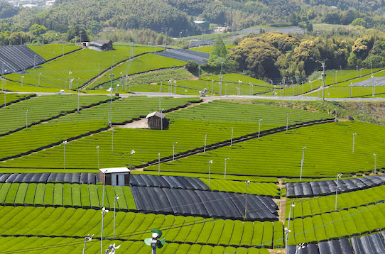 配、農(nóng)網(wǎng)解決方案